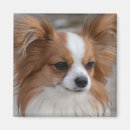 Search for papillons magnets Puppies