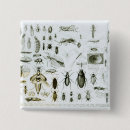 Search for entomology badges Beetle