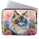 Search for rag doll electronics Cute