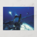 Search for diving postcards People