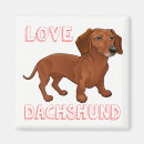 Search for dachsund Dashound