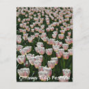 Search for silver stamps postcards Flowers
