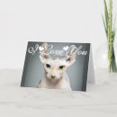 Search for funny cat valentines day cards I love you