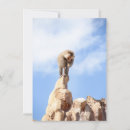 Search for baboon cards Monkey