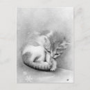 Search for wintry postcards Cold