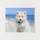 Search for samoyed art Canine