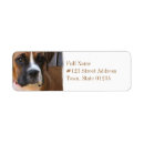 Search for boxers return address labels Canine
