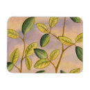 Search for green magnets Leaves