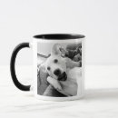 Search for not amused mugs For him