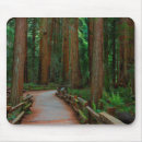 Search for muir woods mousepads Usa