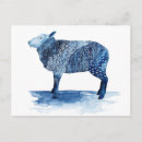 Search for of sheep postcards Animals