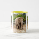 Search for asiatic elephant mugs Endangered