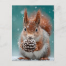 Search for pinecone postcards Nature