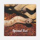 Search for snake pet magnets Reptile