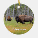Search for yellowstone christmas tree decorations Mammoth hot springs
