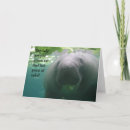 Search for manatee cards Cute