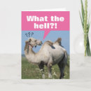 Search for funny camel birthday cards Animals