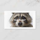 Search for trapping business cards Racoon