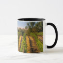 Search for vineyard mugs Row