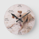 Search for chihuahua clocks Pet
