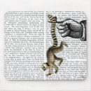 Search for tail electronics Lemur