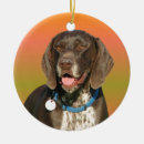 Search for german shorthaired pointer christmas tree decorations dogs