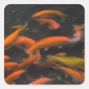 Search for feng shui stickers Luck