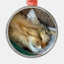 Search for sleeping cat christmas tree decorations Tabby