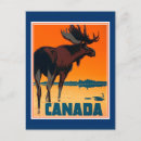 Search for moose design postcards Canada