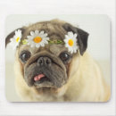 Search for pet pug mousepads Adorable
