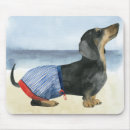 Search for dachshund mousepads Canine