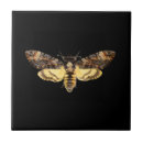 Search for deaths head moth home living Acherontia