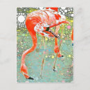 Search for wild pinks postcards Abstract