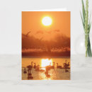 Search for romantic swan cards Swans