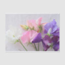 Search for sweet tissue paper Delicate