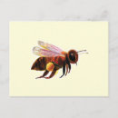 Search for flying bee postcards Cute