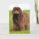 Search for newfoundland birthday cards Dog