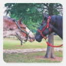 Search for draught horse stickers Percheron