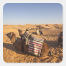 Search for sahara stickers Landscape