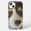 Search for bird dog iphone cases Puppy