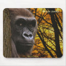 Search for gorilla mousepads Apes