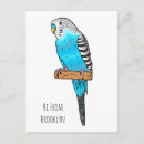 Search for blue parakeet postcards Budgerigar
