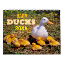 Search for duck calendars Animals