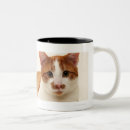 Search for business cat mugs Cats