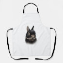 Search for dwarf aprons Rabbit