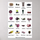 Search for food nutrition posters Vegan