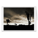 Search for mojave photography Desert