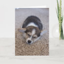 Search for corgi puppy cards Pembroke welsh corgi
