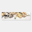 Search for seashell bumper stickers Ocean