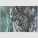 Search for box turtle photography Sea life